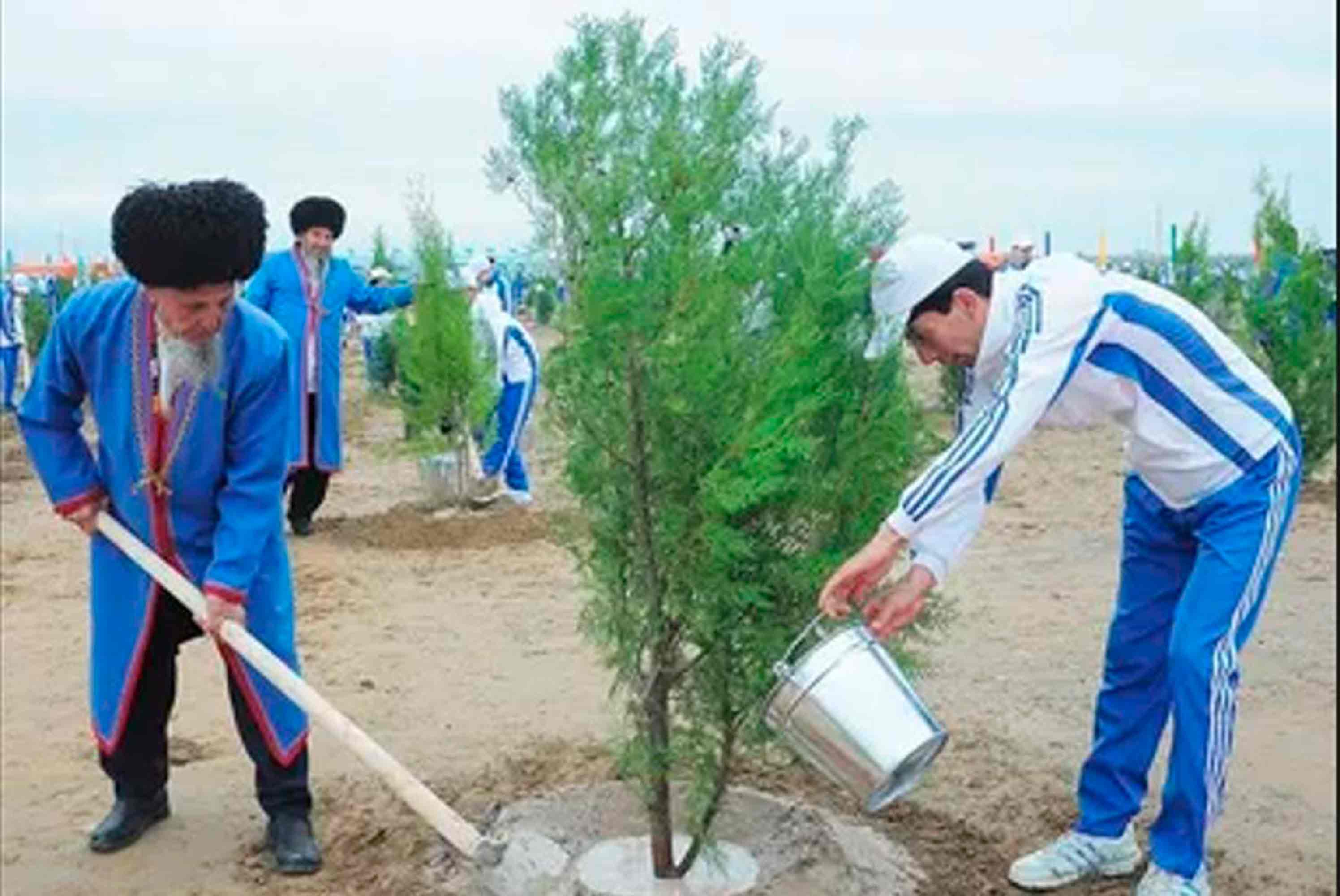 В Туркменистане в 2024 году будет посажено 3 млн саженцев лиственных, хвойных, плодовых и винограда